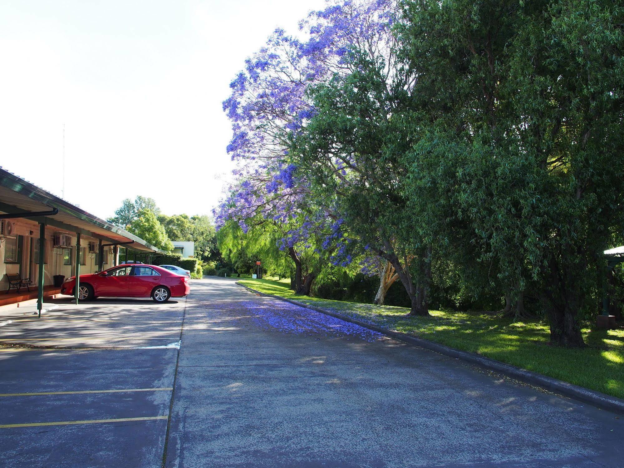 Solomon Inn Motel Figtree Wollongong Extérieur photo